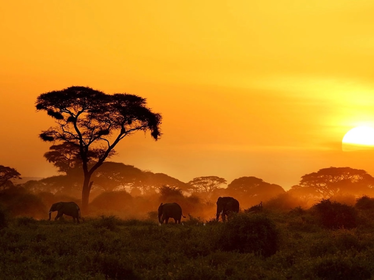 Kenia